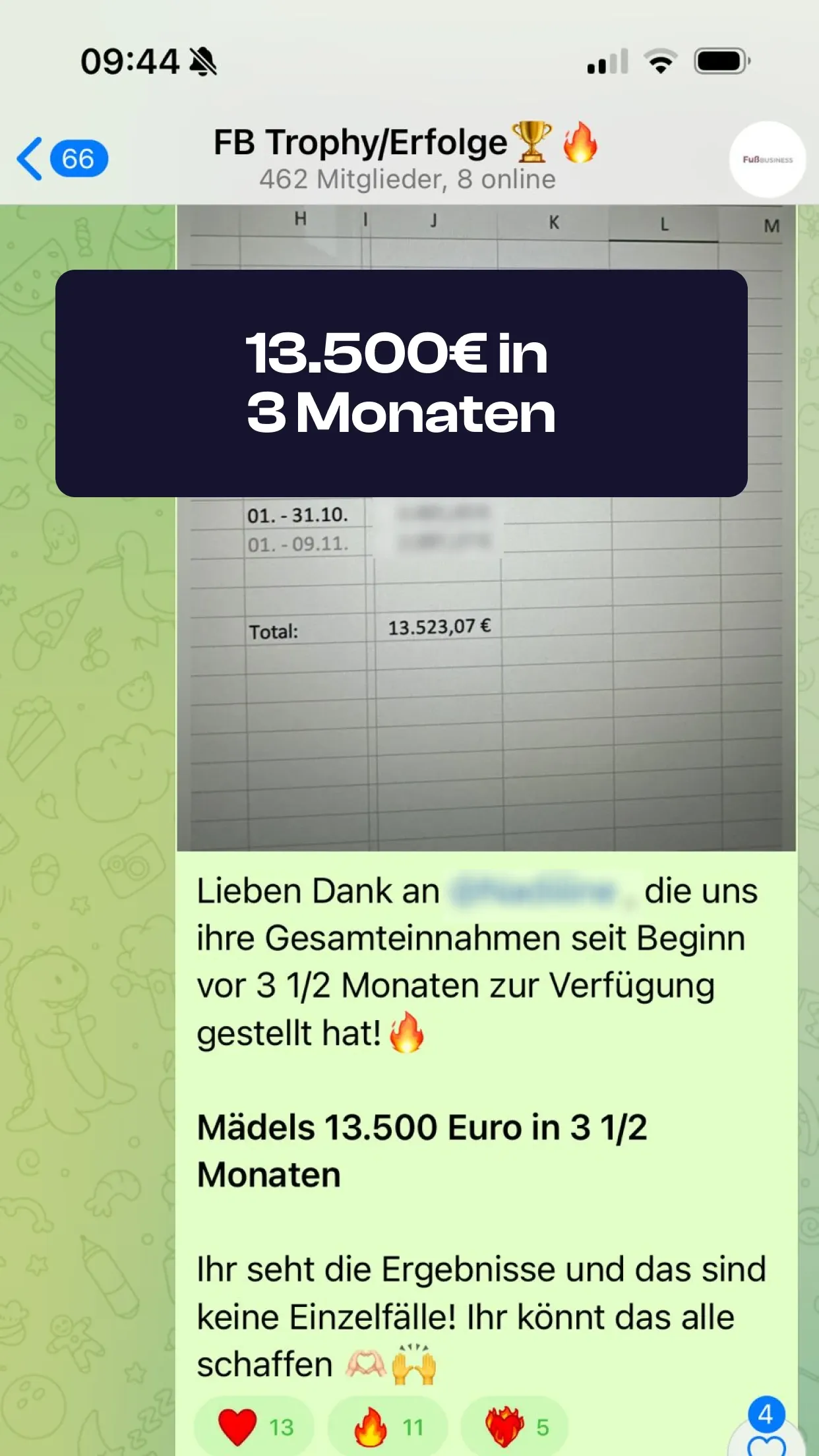 Chat-Screenshot einer Teilnehmerin: 13.500€ in 3 Monaten