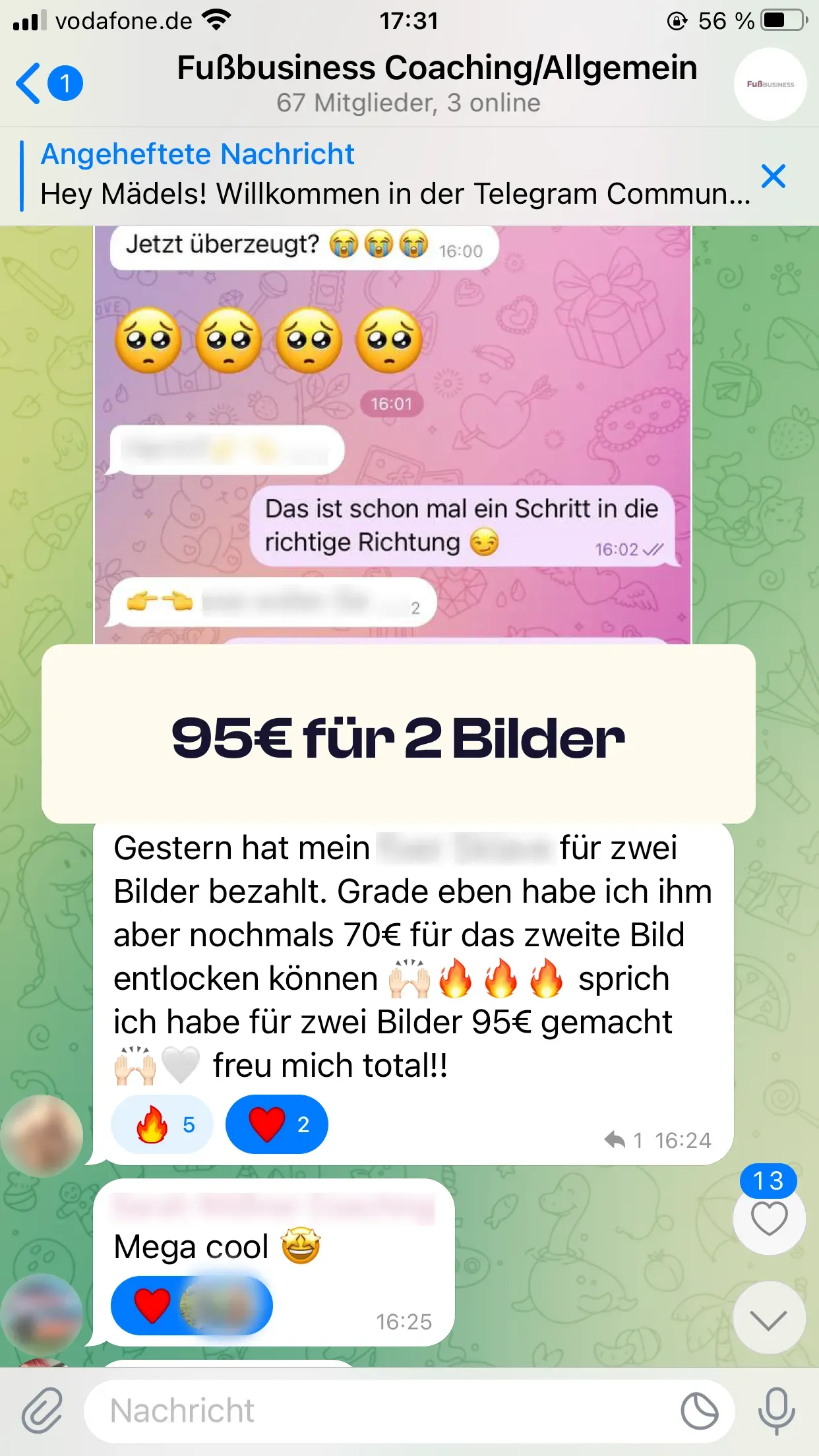 Chat-Screenshot einer Teilnehmerin: 95€ für 2 Bilder
